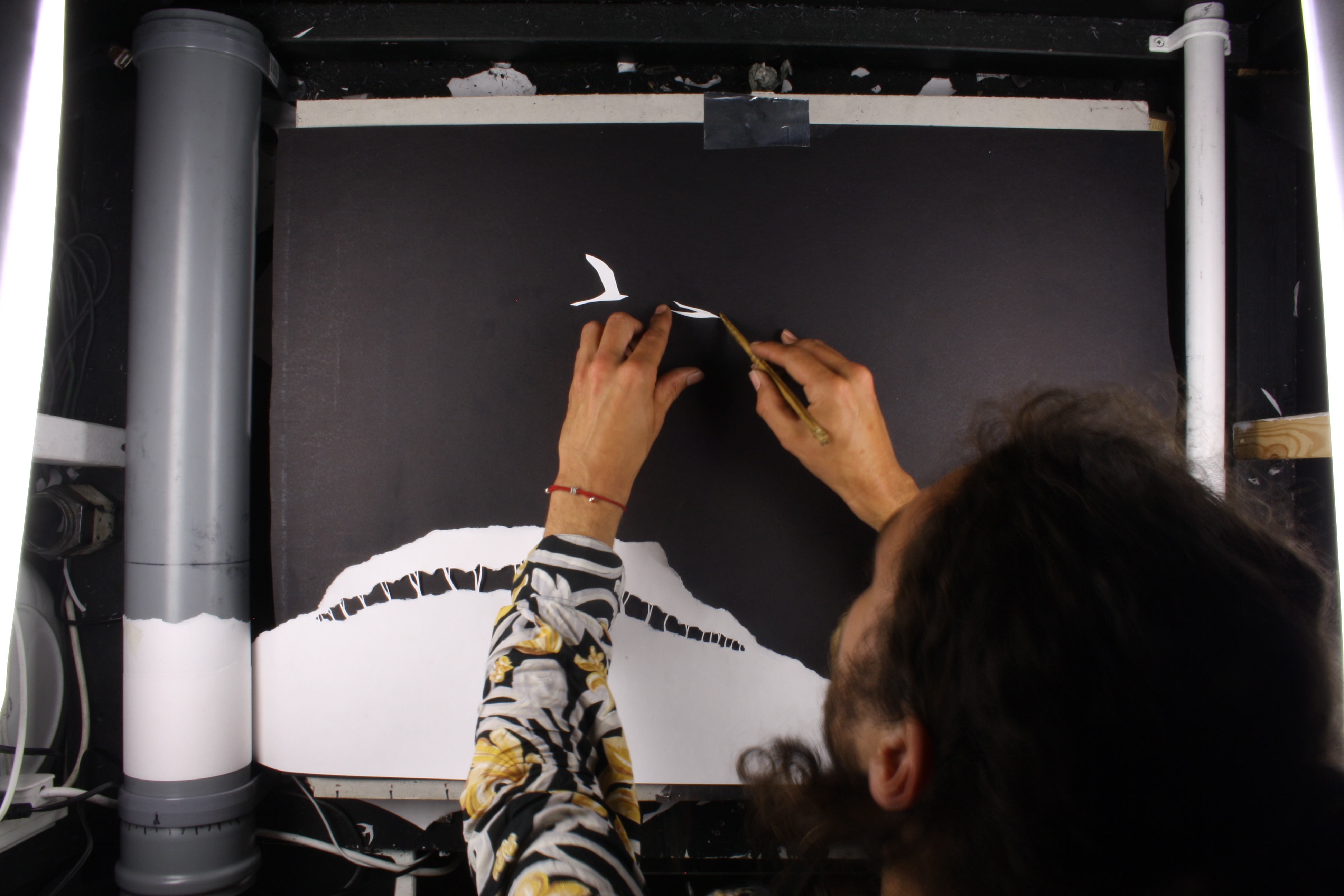 Morgan placing a bird